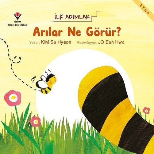 Arılar Ne Görür?-İlk Adımlar