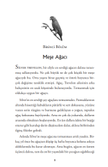 Kaplumbağa Dolunayı