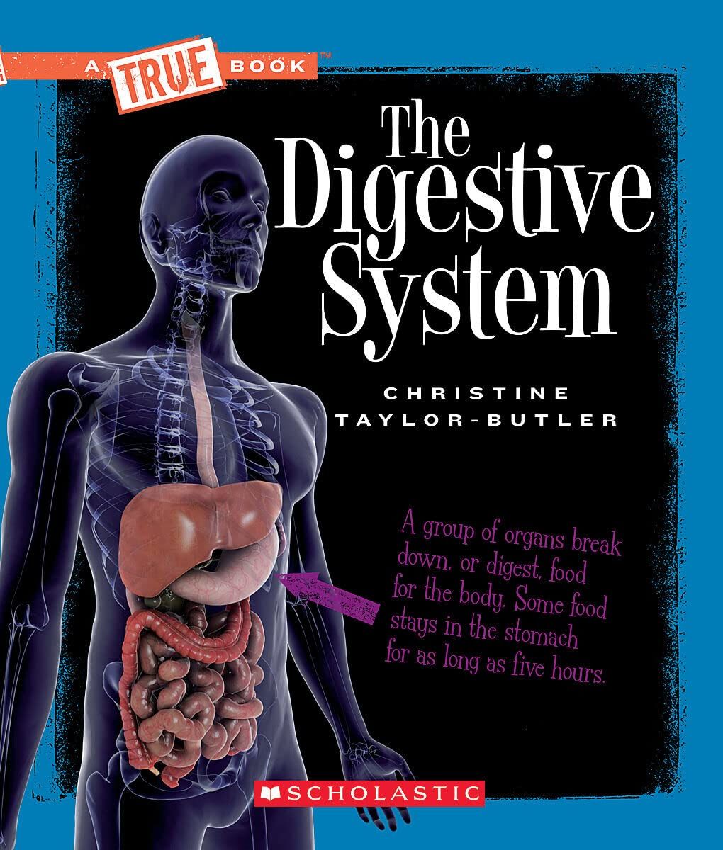 Digestive System