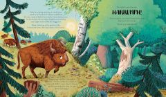 Bison and the Butterfly