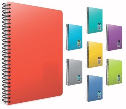 TB A4 Spiralli Seperatörlü PP Kapak 200 yp 4 Bölüm Kareli + 1 Bölüm Çizgili