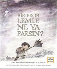 Bir Problemle Ne Yaparsın?