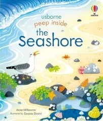 Peep Inside the Seashore