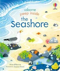 Seashore