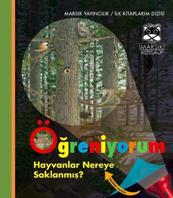 Hayvanlar Nereye Saklanmış? - Öğreniyorum (Fenerli)