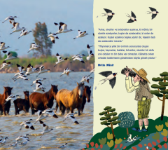 Kuşlar Her Şeyi Bilir