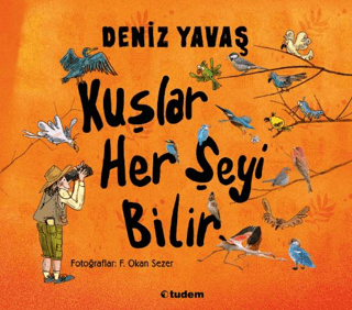 Kuşlar Her Şeyi Bilir