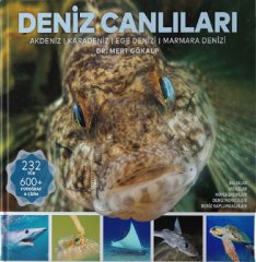Deniz Canlıları