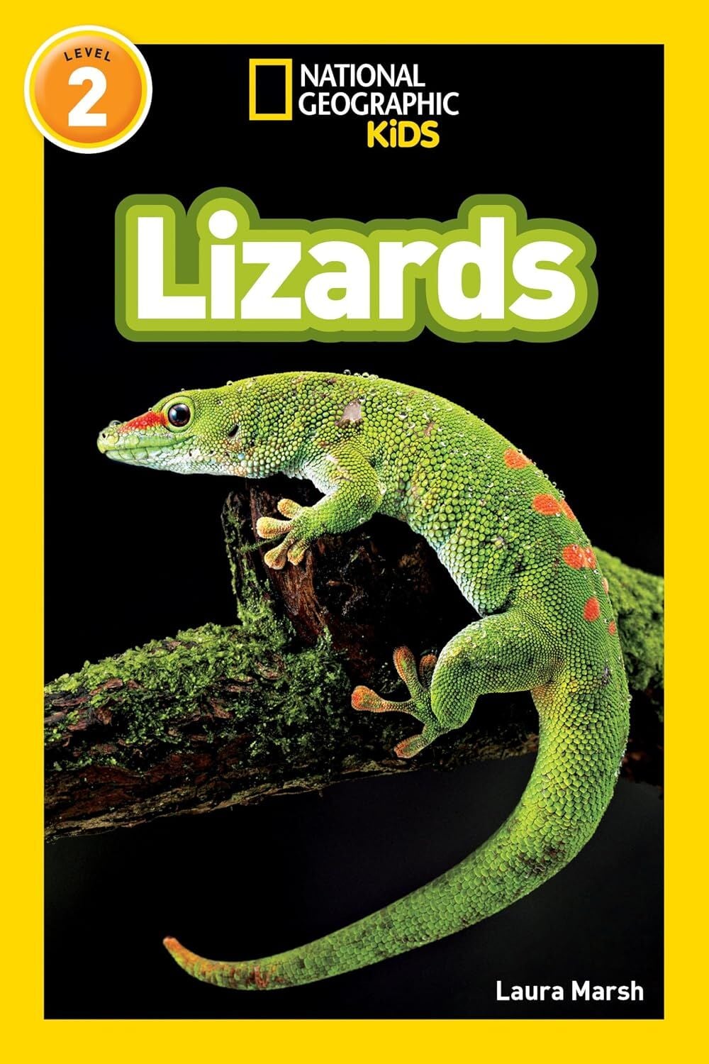 Lizards L-2