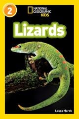 Lizards L-2