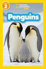 Penguins L-2