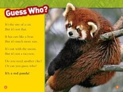 Red Pandas L-1