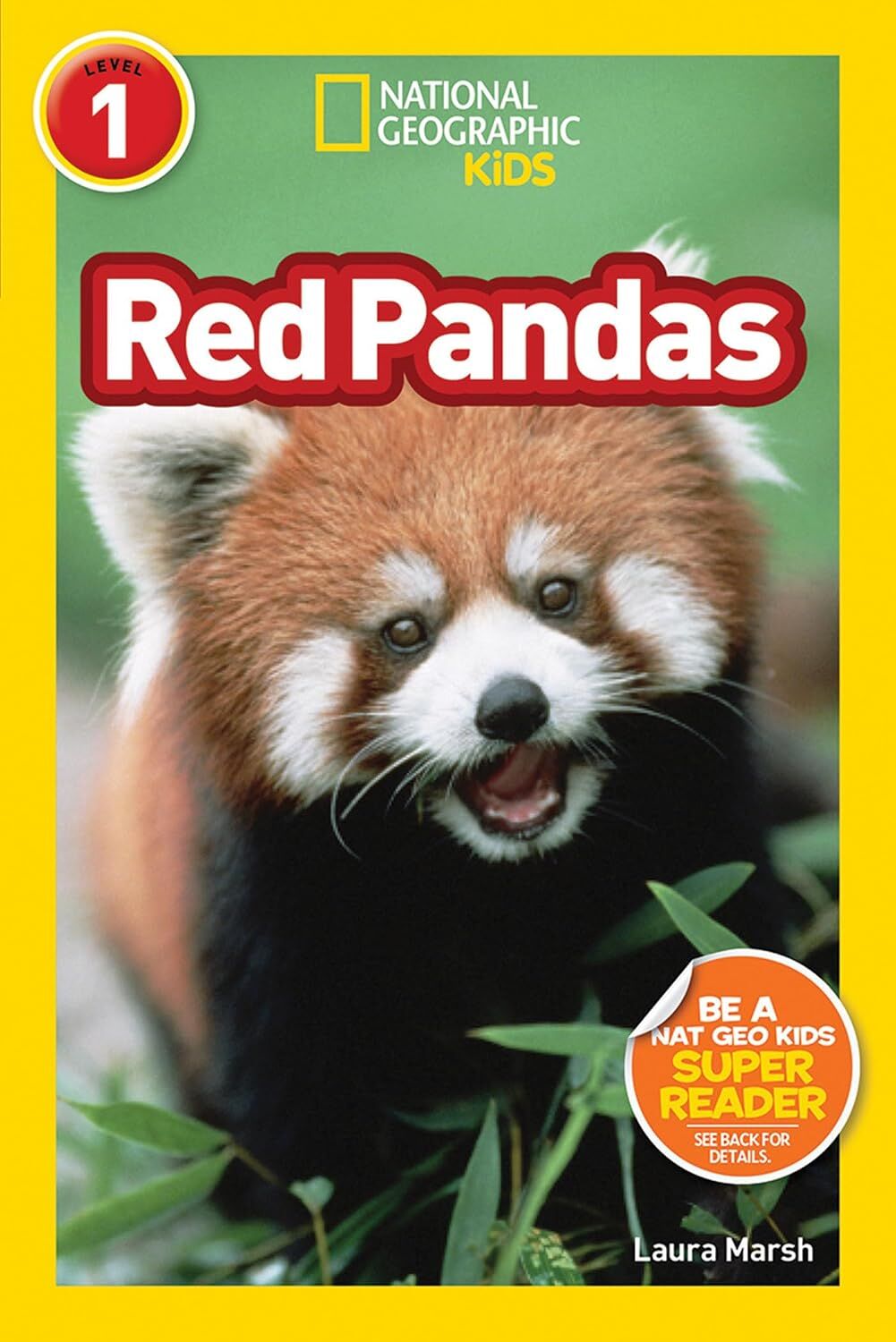Red Pandas L-1