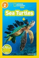 Sea Turtles L-2