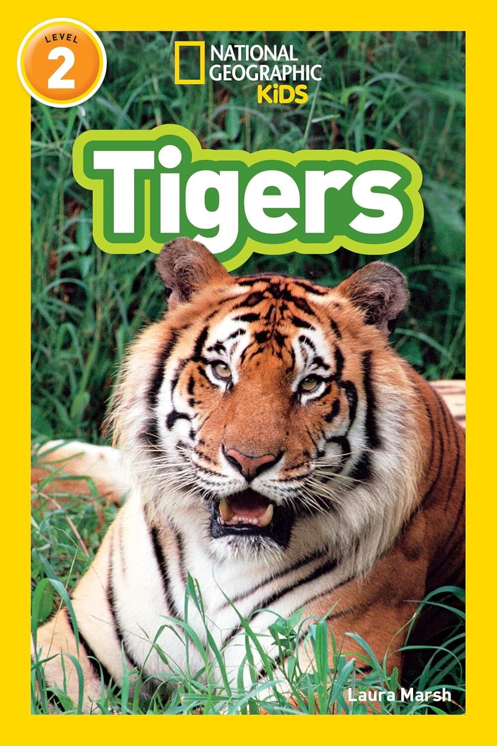 Tigers L-2