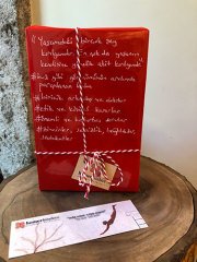 Blind Date with a Book BD00080