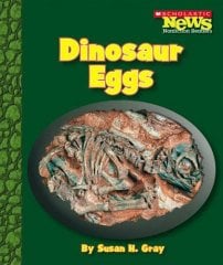 Dinosaur Eggs