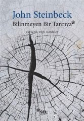 Bilinmeyen Bir Tanrıya
