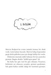 Marvin Redpost: Sınıftaki Başkan