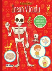 İnsan Vücudu