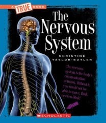 Nervous System