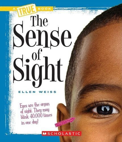 Sense of Sight