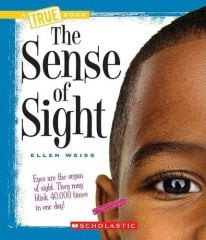 Sense of Sight