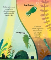 Yoksa Ben Bir Kurbağa Mıyım?