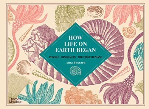 How Life on Earth Began: Fossils * Dinosaurs * The First Humans