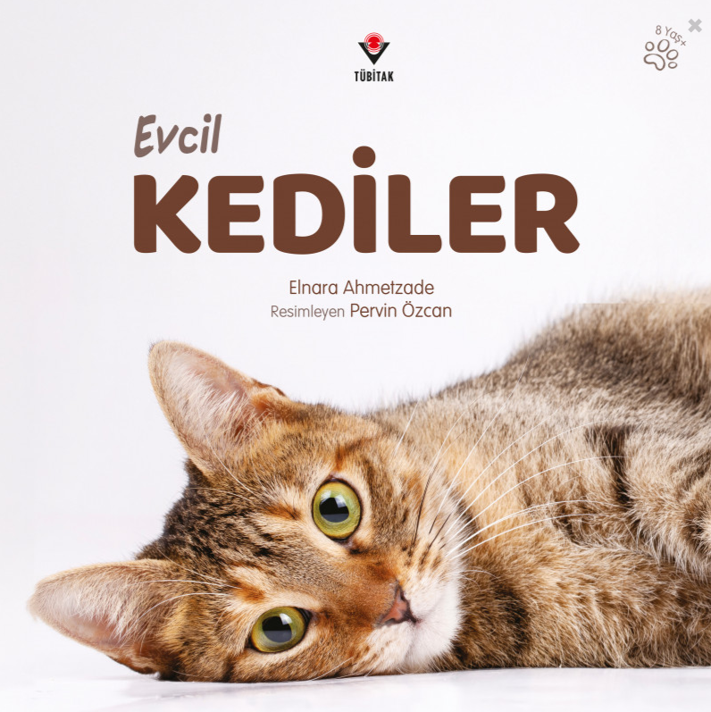 Evcil Kediler