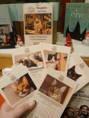 Moggies and Friends 2026 Takvim