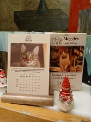 Moggies and Friends 2026 Takvim