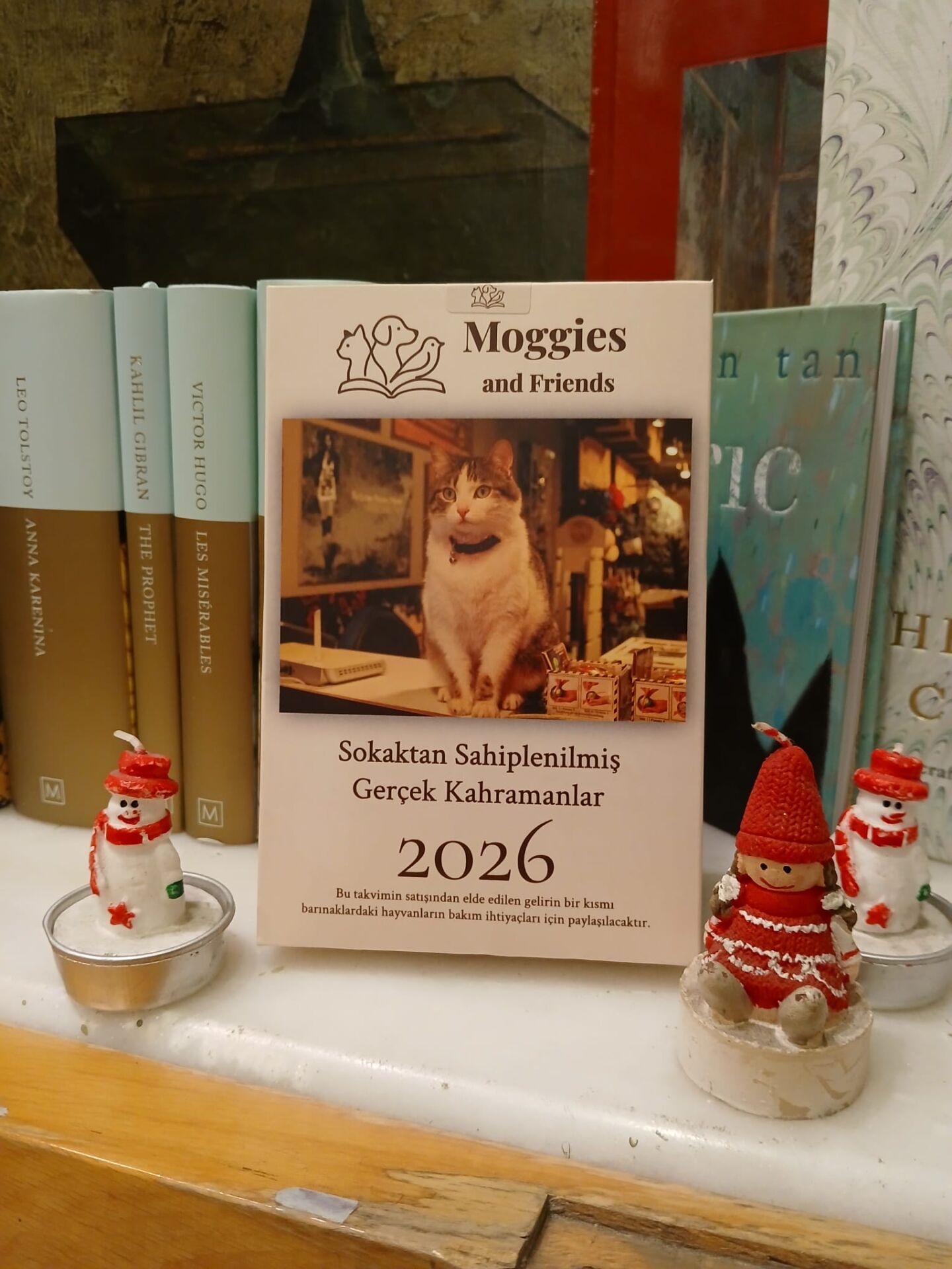 Moggies and Friends 2026 Takvim