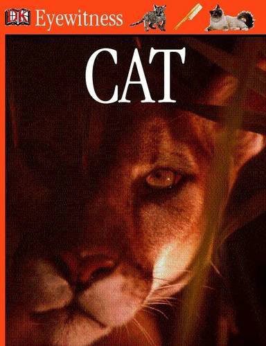 Eyewitness Cat