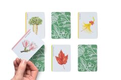 Tree Families: A Botanical Card Game
