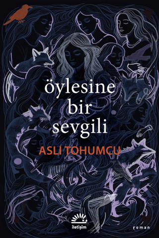 Öylesine Bir Sevgili