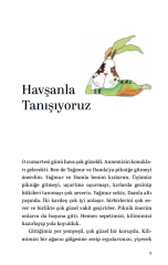 Havşan Öyküleri