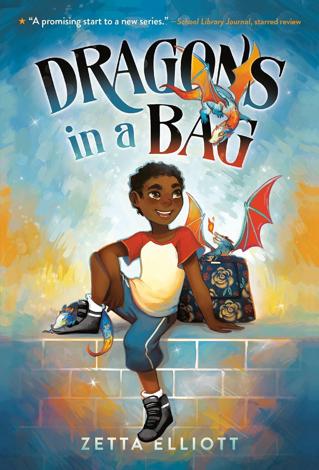 Dragons in a Bag 1