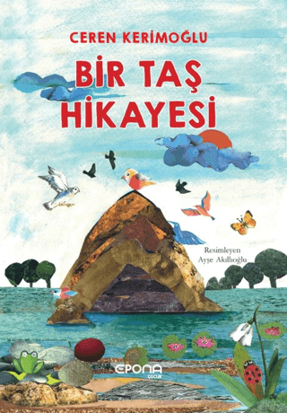 Bir Taş Hikayesi
