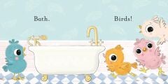 Bird Bath