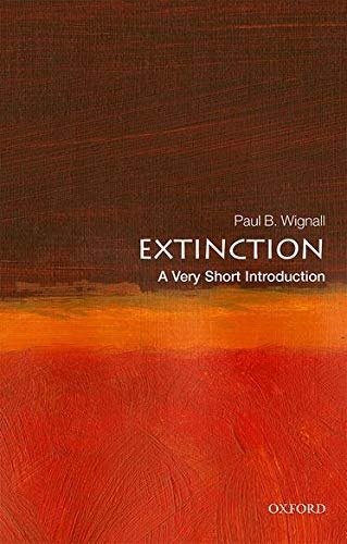 VSI, Extinction