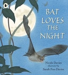 Bat Loves the Night