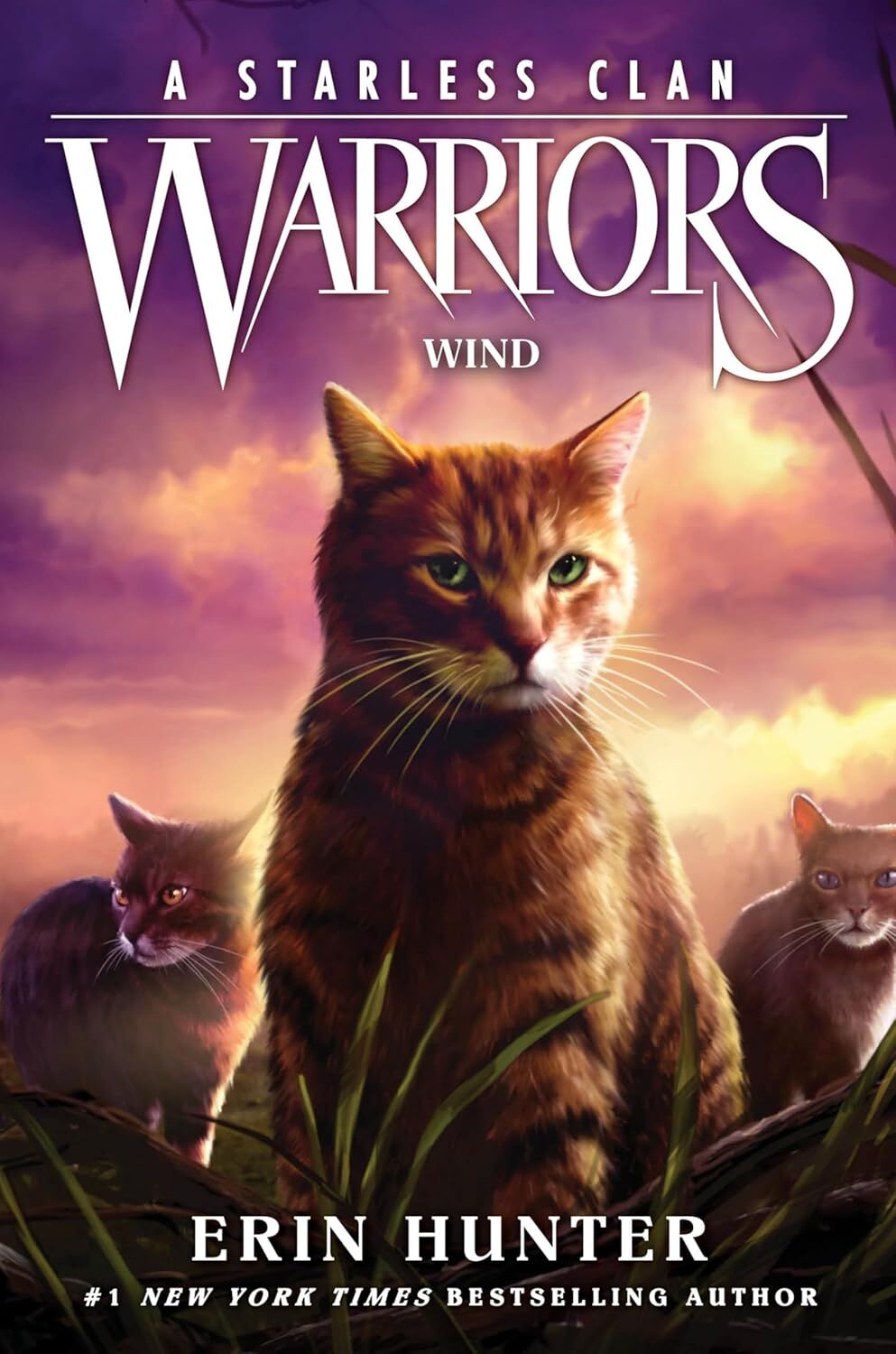 Warriors: A Starless Clan 5: Wind
