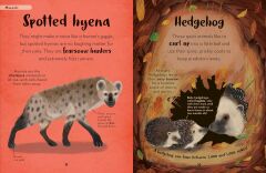 Bedtime Book of Nighttime Animals