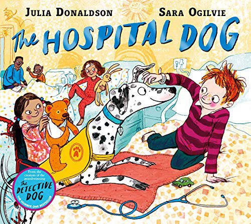 Hospital Dog