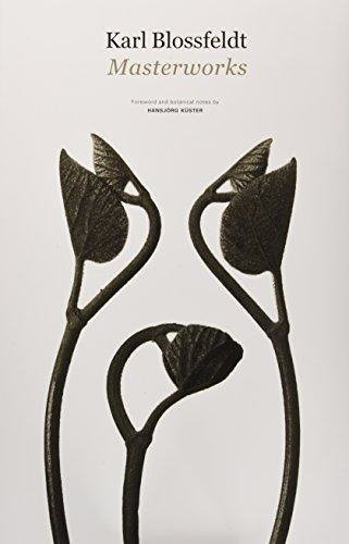 Karl Blossfeldt: Masterworks