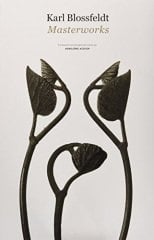 Karl Blossfeldt: Masterworks