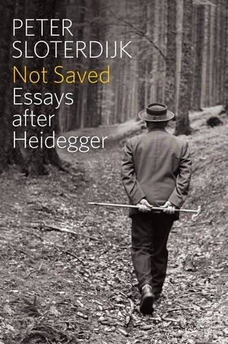 Not Saved; Essays After Heidegger