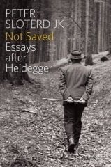 Not Saved; Essays After Heidegger