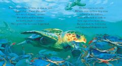 One Tiny Turtle